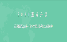 2021全新升级版-若泽数据Spark+Flink全栈训练营(高级班)