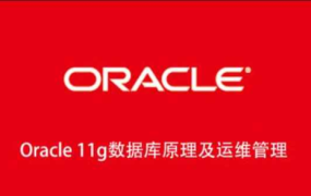 Oracle 11g数据库原理及运维管理